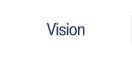 Vision